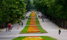 Безплатни туристически обиколки организира Община Варна