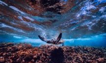 Безотговорни туристи раняват защитен вид морски костенурки в Гърция