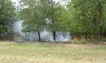 56-годишен мъж е с изгаряния след пожар в сухи треви в двора на УМБАЛ „Св. Георги“