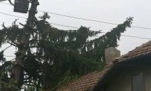Бурен вятър остави без ток част от Врачанска област