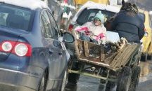 „Патриоти за София“ искат забрана на каруците в столицата