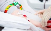 Създават научна програма на кръводарителите