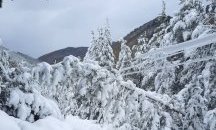 Възстановено е електрозахранването на 385 000 клиенти на ЕРМ Запад в Западна България